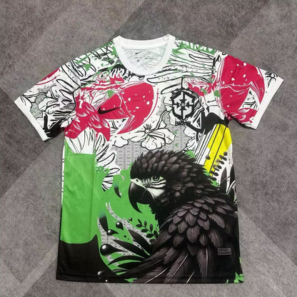 Maillot Brésil Édition Spécial Perroquet Noire 24/25