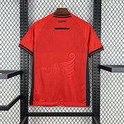 Albanie Maillot Domicile 25/26